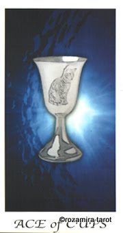 Cat's House Tarot by Hiroko Miyamoto